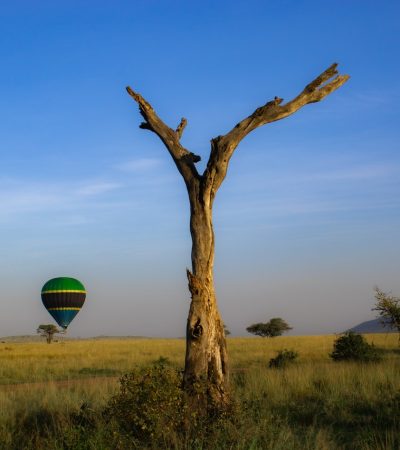 Hot air balloon safari in your dream destination